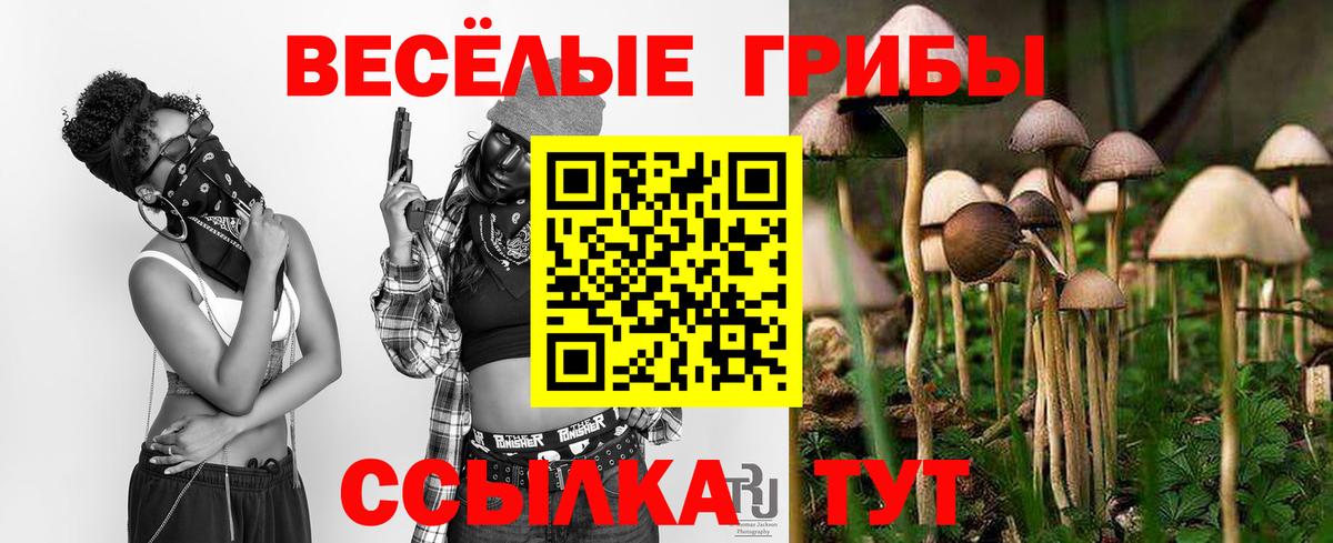 Псилоцибиновые грибы ЛСД Сунжа